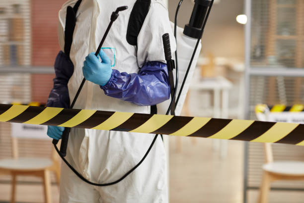 Professional Sewage Cleanup technician working in Cambria, CA